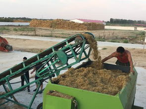 一八二團(tuán)新型飼料攪拌機(jī)助力畜牧業(yè)高質(zhì)量發(fā)展